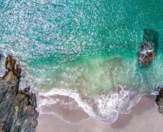 武威职业技术学院单招专业（单招武威职业技术学院报名报错了专业 好后悔 该怎么办 求帮助）