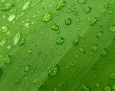 河南医学高等专科学校官网办事大厅(河南医学高等专科学校招生办电话)